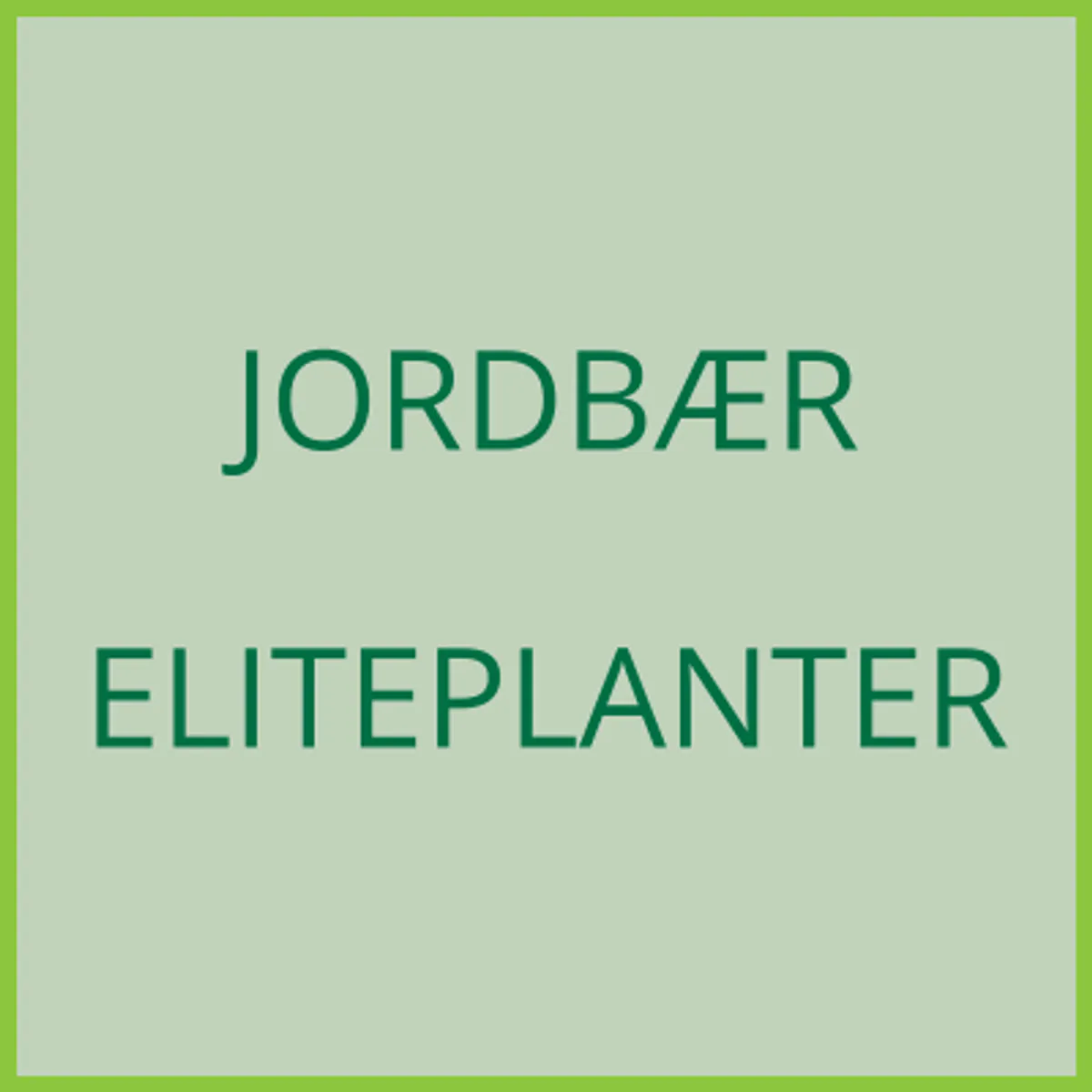 Jordbær eliteplanter