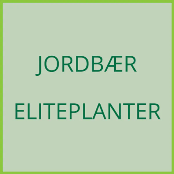 Hovedbilde Jordbær eliteplanter